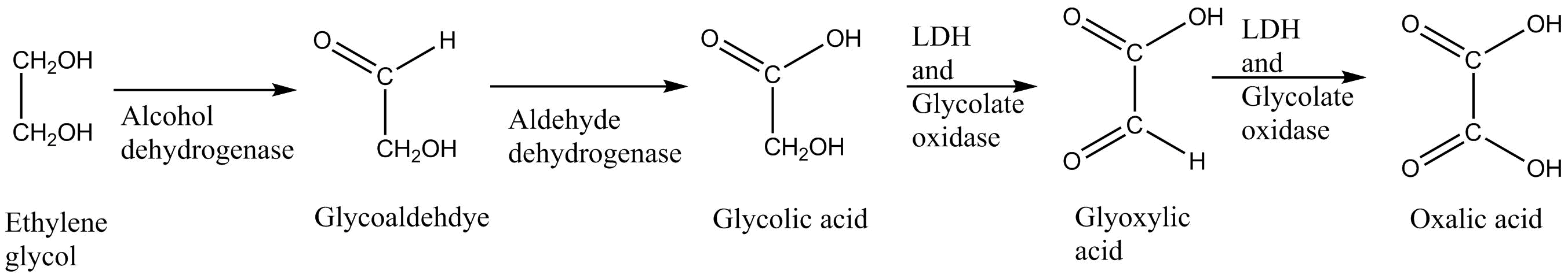 Ethylene Glycol. Этандиол щавелевая кислота. Этиленгликоль гликолевая кислота. Этиленгликоль щавелевая кислота.