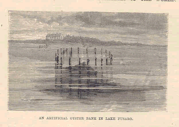 File:FMIB 32959 Artificial Oyster Bank in Lake Fusaro.jpeg