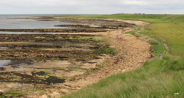 File:Fife Coast Path, Randerston - geograph.org.uk - 2158979.jpg