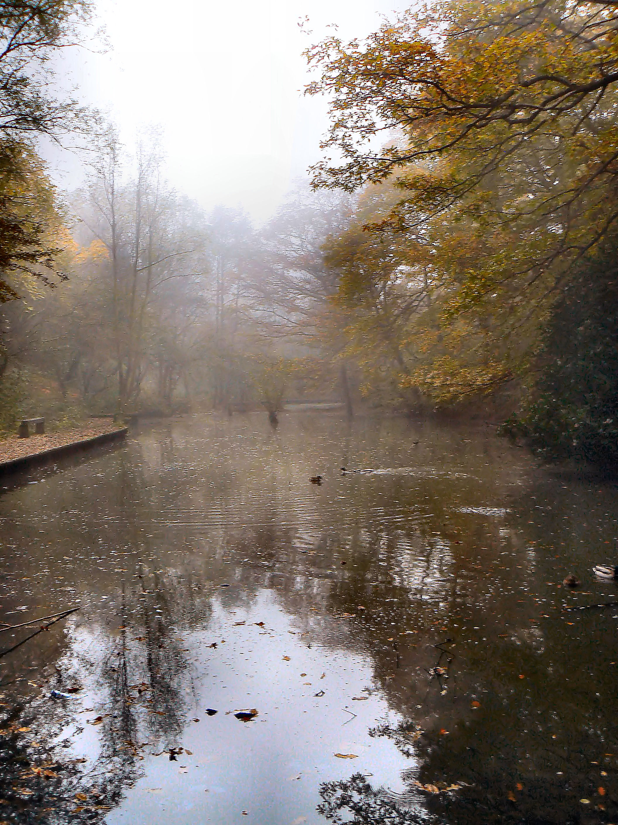 Reflection 2. Autumnal Phantoms фото.