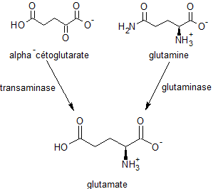 File:Glutamate syn.png