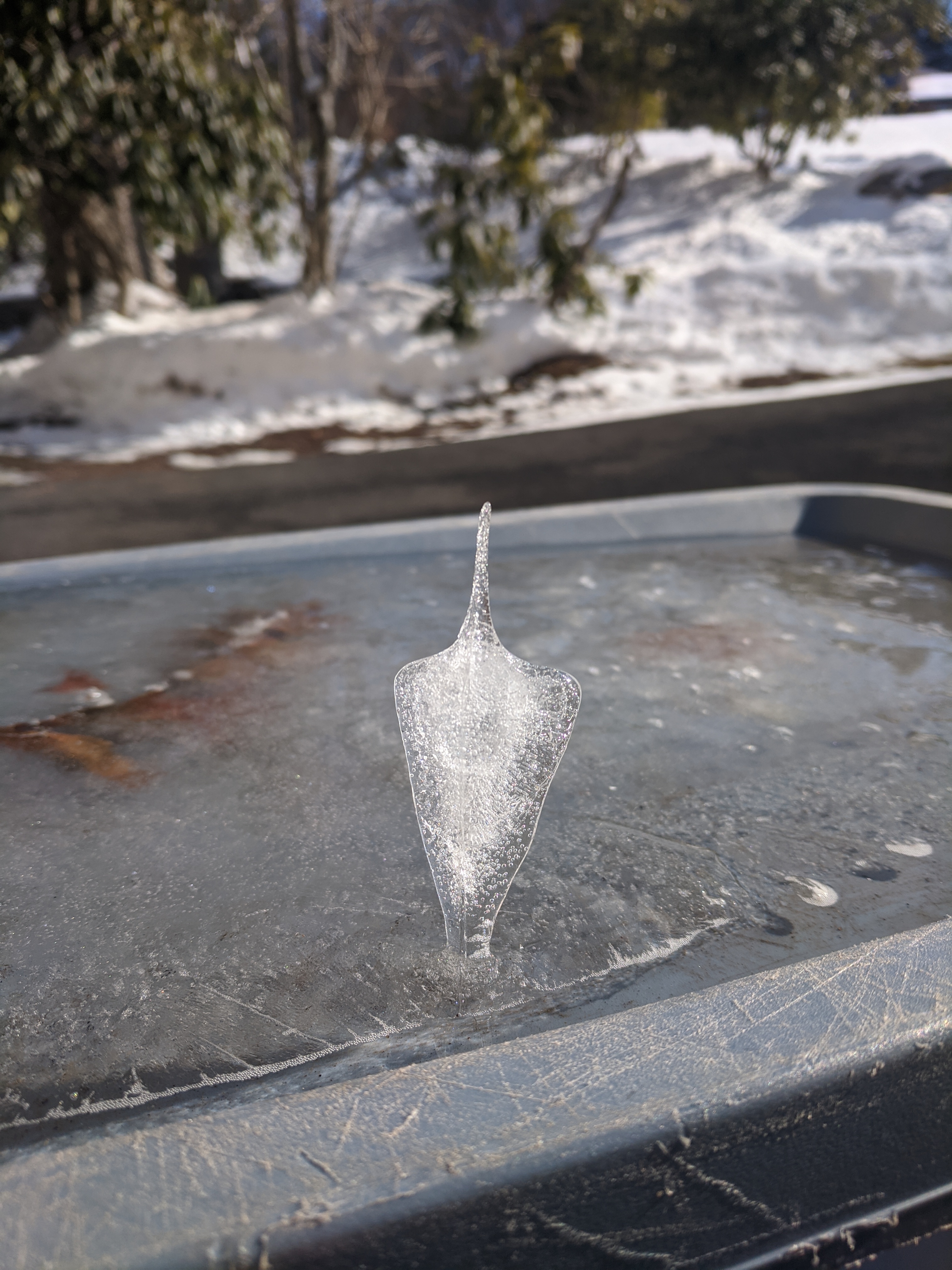 Ice spike. Ice Spice.