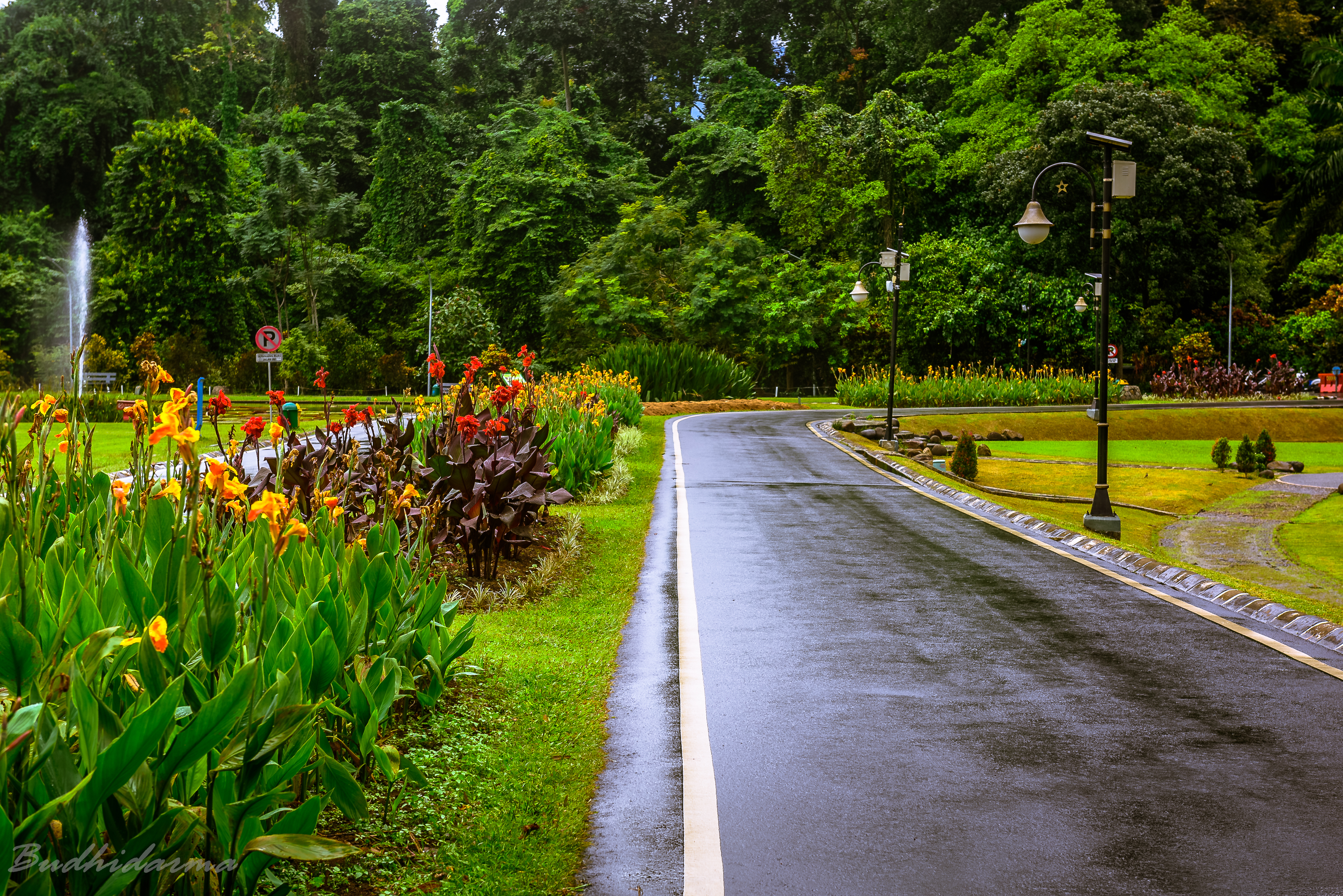 kebun raya bogor