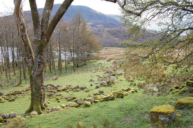 File:Llanycil - Woodland by Llyn Celyn with Arenig Fawr - geograph.org.uk - 1612340.jpg