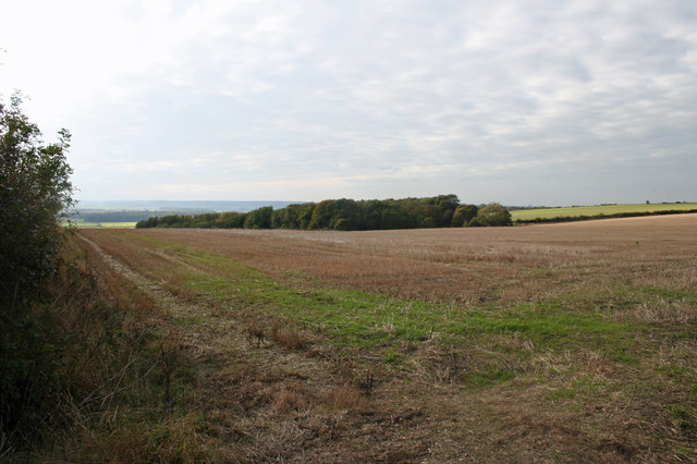 File:Looking towards Deepdale Plantations - geograph.org.uk - 593458.jpg