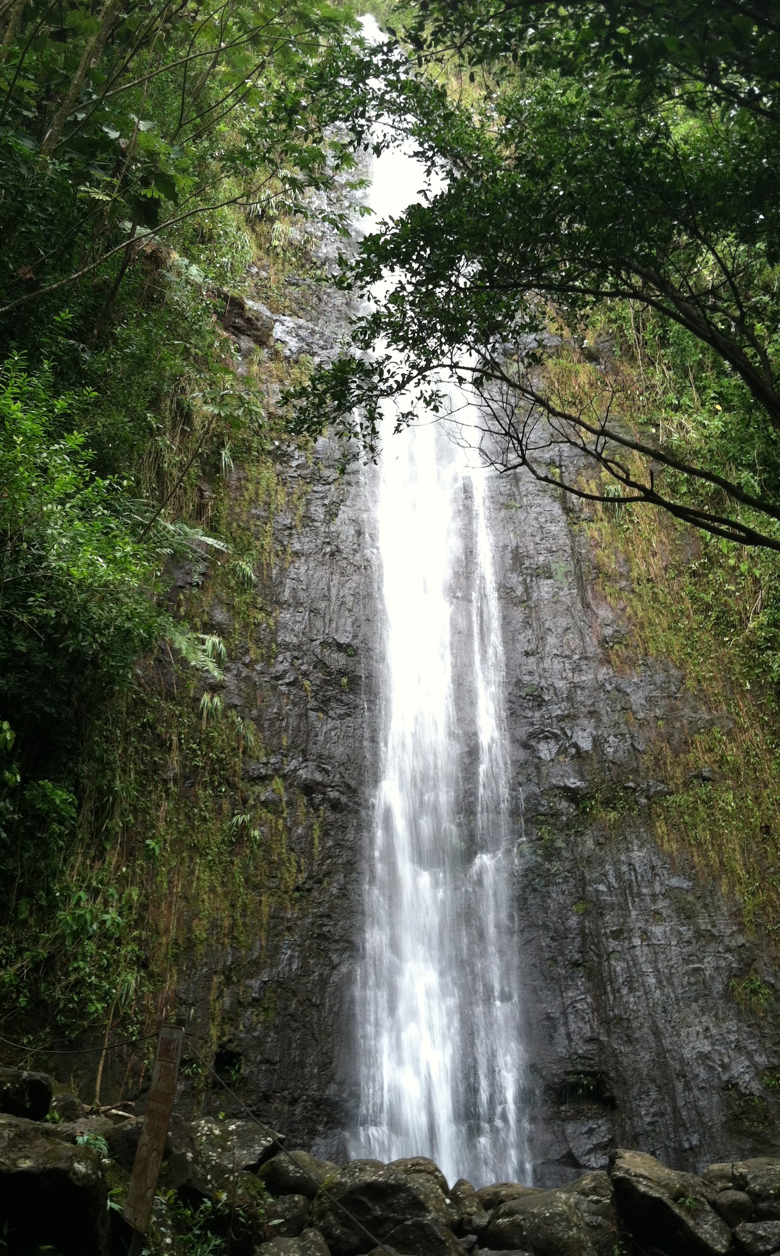 Photo of Mānoa Falls