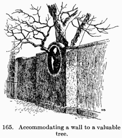 File:Manual of Gardening fig165.png