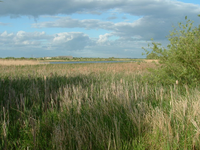 Marton Mere - geograph.org.uk - 178027