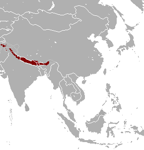 Naemorhedus goral range map.png