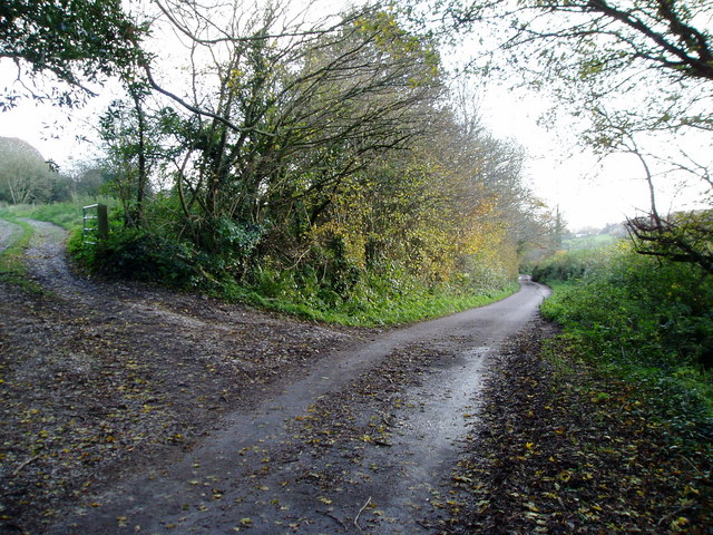 File:Near Ridge Hill - geograph.org.uk - 1619022.jpg