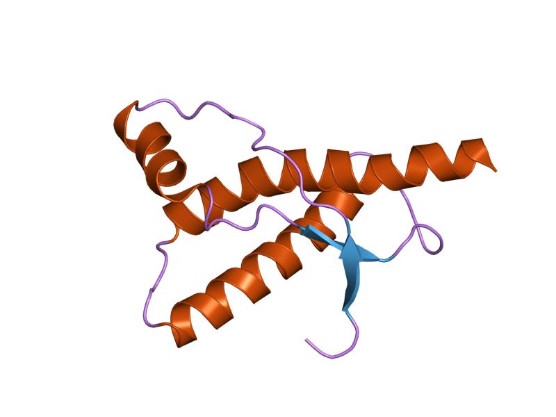 File:PDB 1qm0 EBI.jpg