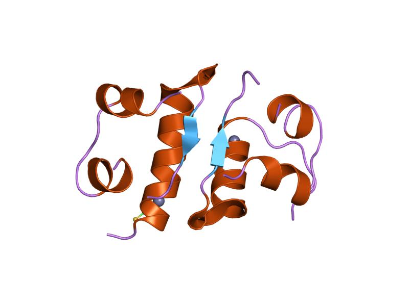 File:PDB 2tci EBI.jpg