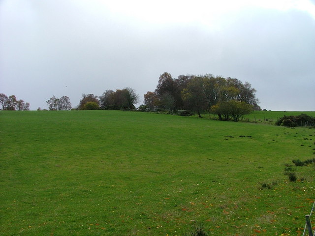 File:Pasture Land - geograph.org.uk - 277117.jpg