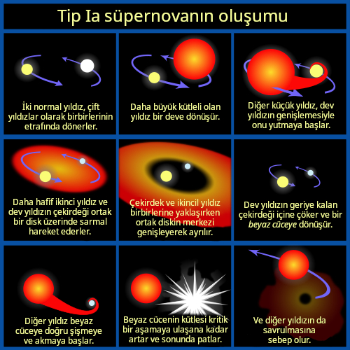 File:Progenitor IA supernova tr.jpg