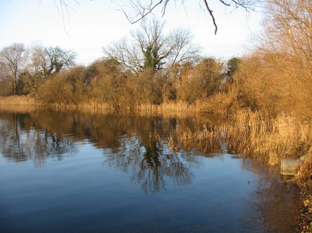 File:Reeds and reflections - geograph.org.uk - 1235527.jpg