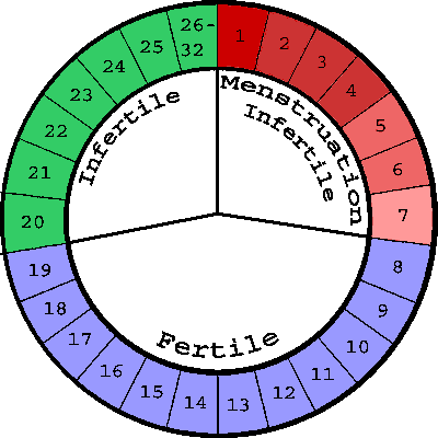 File:SDM-circle2.gif