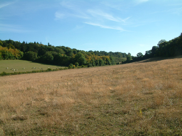 File:Shoreham Woods, near M25 junction 4 - geograph.org.uk - 37764.jpg