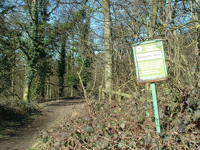 File:Stoneycliffe Wood Nature Reserve - geograph.org.uk - 132433.jpg