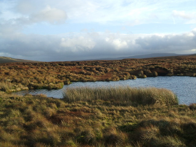 File:Tarn on Lamps Moss - geograph.org.uk - 1046260.jpg