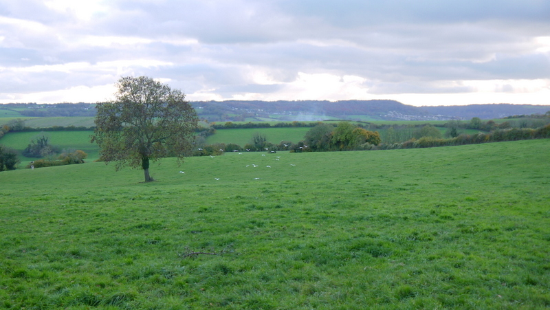 View from Tutton Hill - geograph.org.uk - 3750980