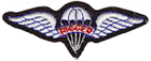 File:165th Quartermaster Rigger Wings.png