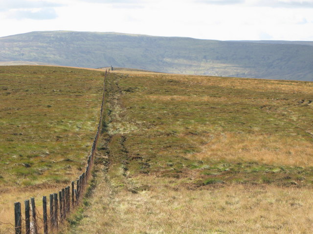 File:Ayle Common - geograph.org.uk - 588673.jpg