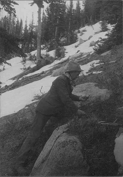 File:BC Collier with kerchief and hat viewing foliage on mountainside, ca 1903-1911 (WASTATE 2452).jpeg