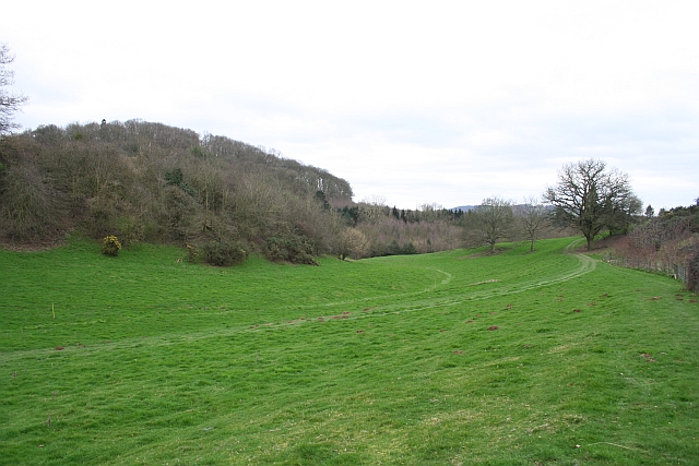 File:Bagburrow Wood - geograph.org.uk - 324922.jpg