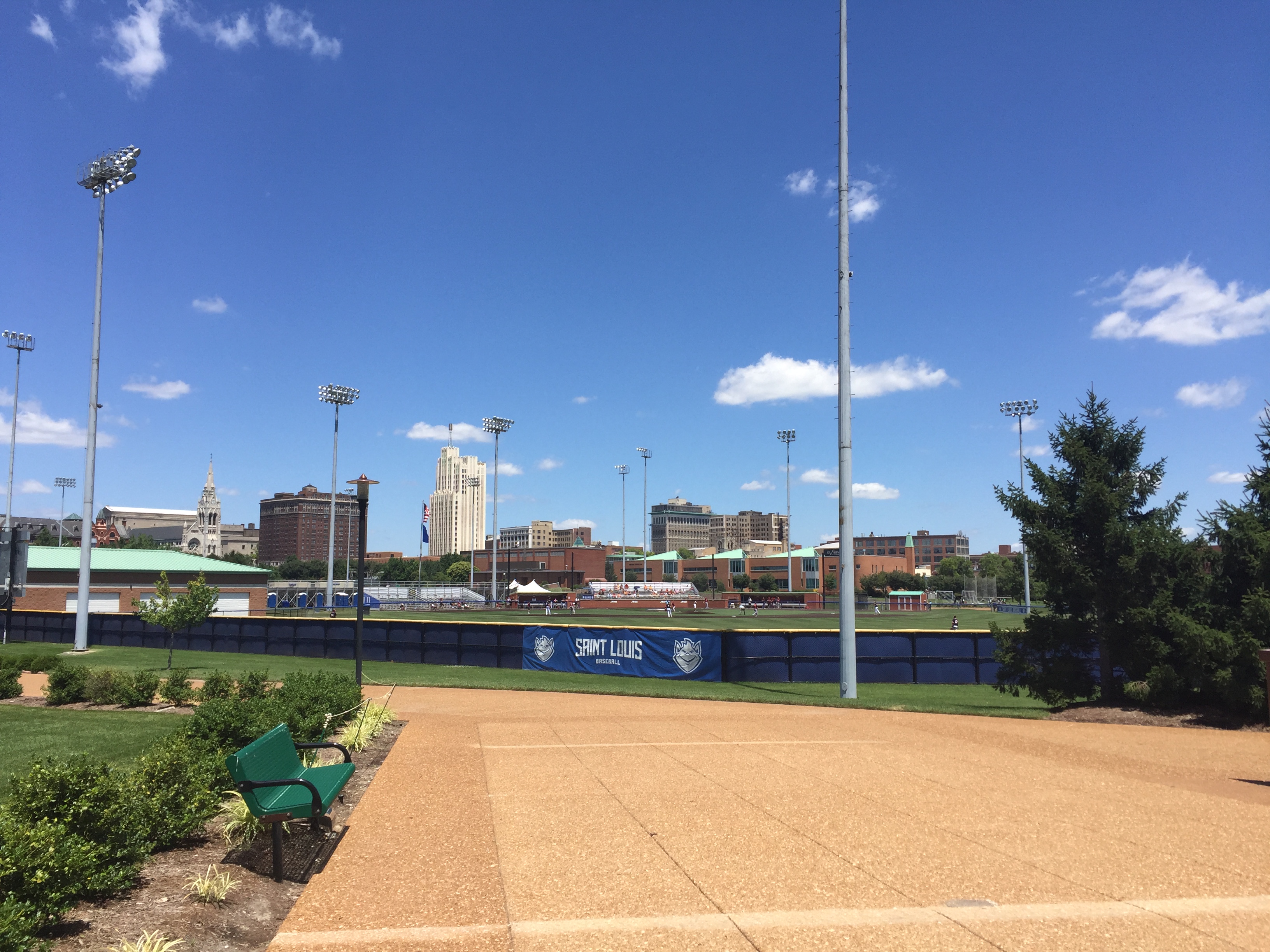 Desert Cactus Saint Louis University SLU Billikens NCAA 100