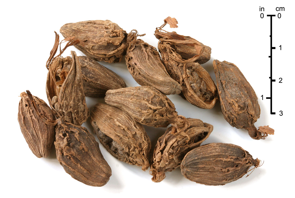 Cardamome (épice) — Wikipédia