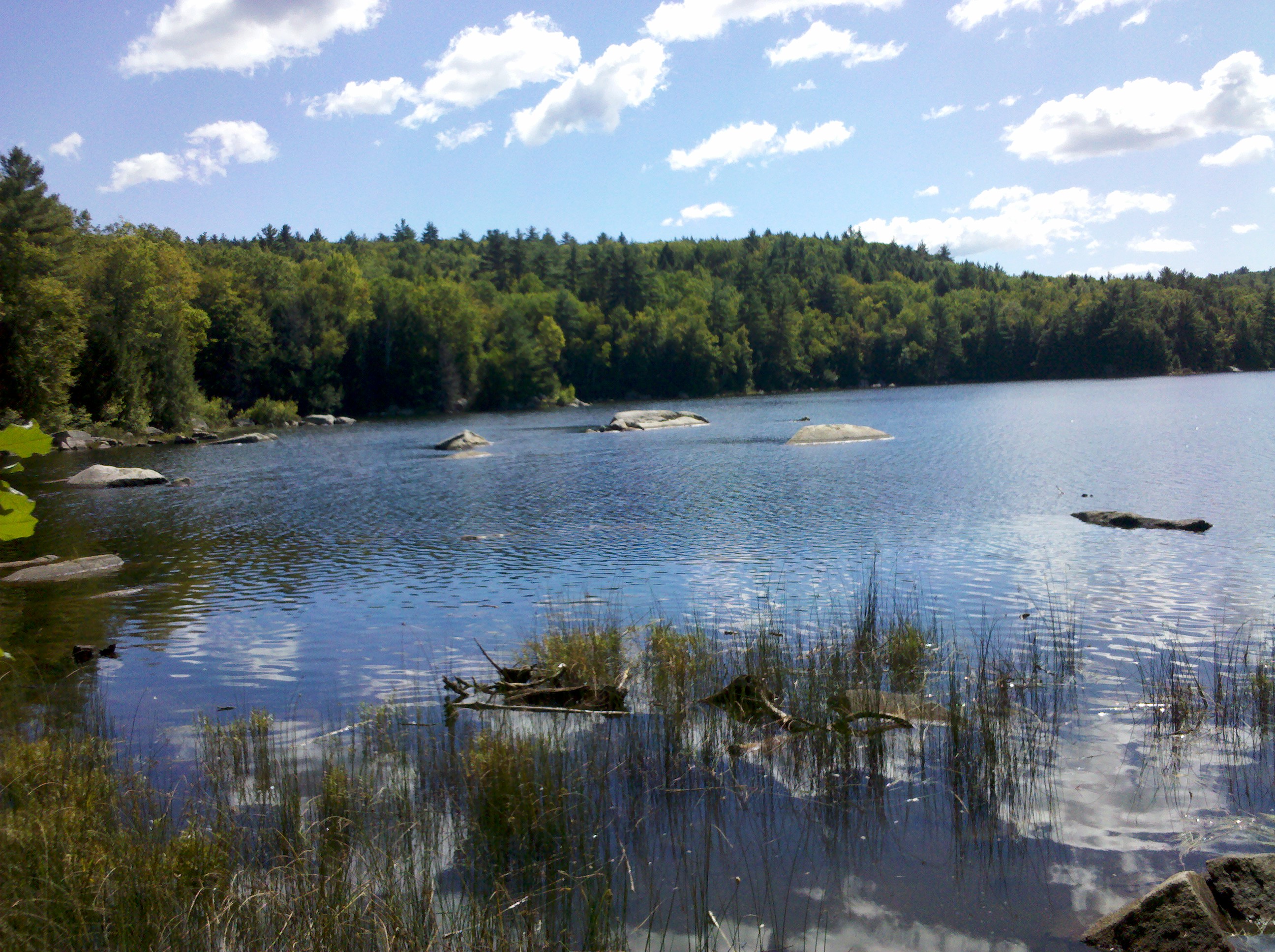 Lot lake. Озеро лотов. Lake lot.