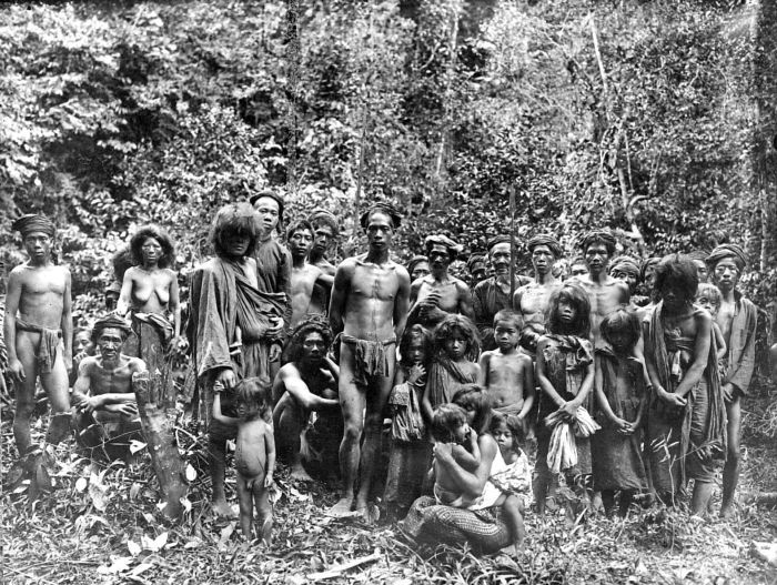 Kubu people - Wikidata