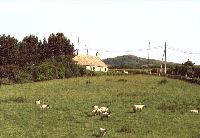 File:Cefn Leisiog and Mynydd Y Garn - geograph.org.uk - 102700.jpg