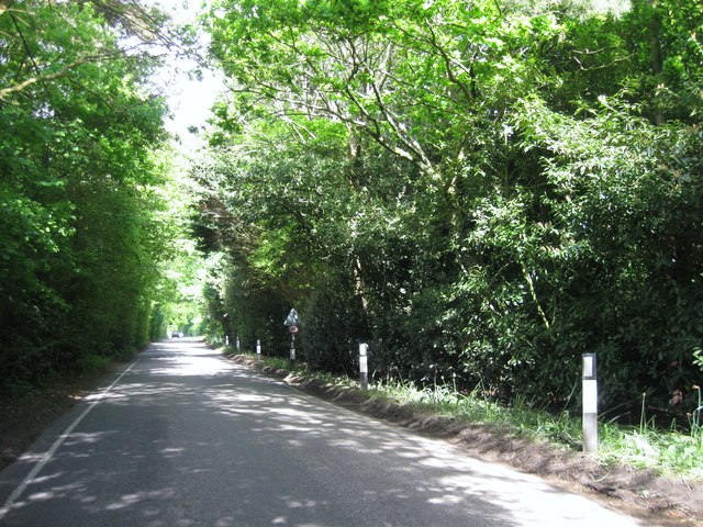 File:Curdridge Lane - geograph.org.uk - 5786093.jpg