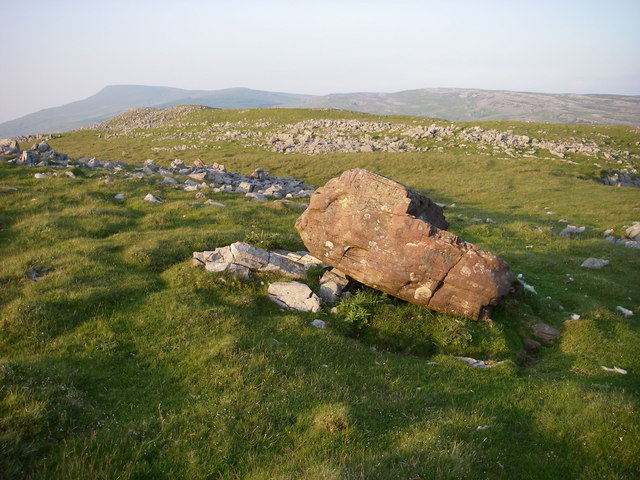 File:Erratic block on Cribarth - geograph.org.uk - 458035.jpg