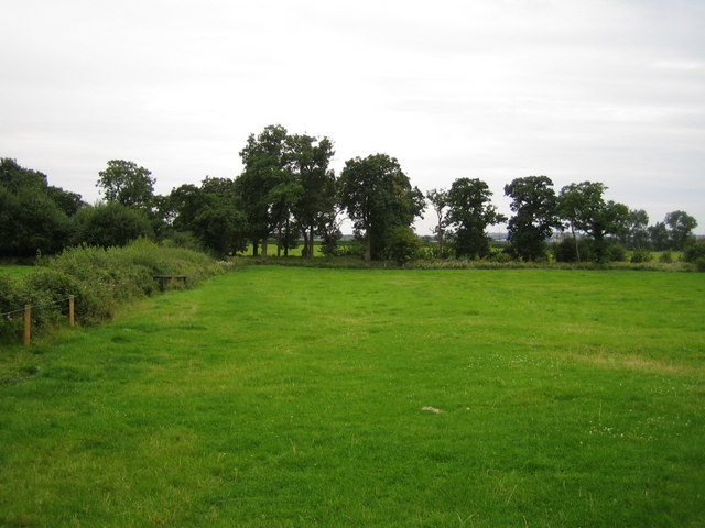 File:Field edge near Doddershall House - geograph.org.uk - 1248349.jpg