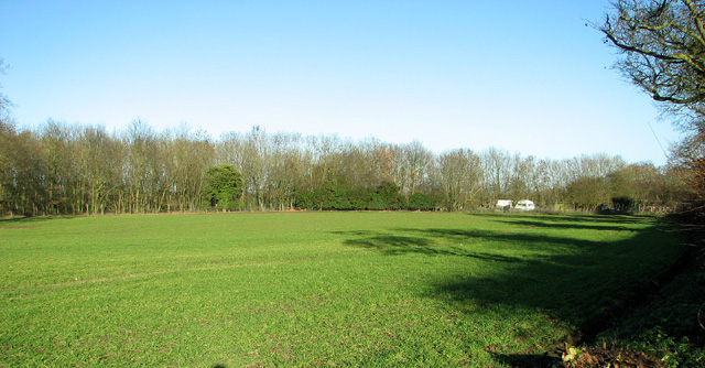 File:Field north of Beighton Road - geograph.org.uk - 3784237.jpg