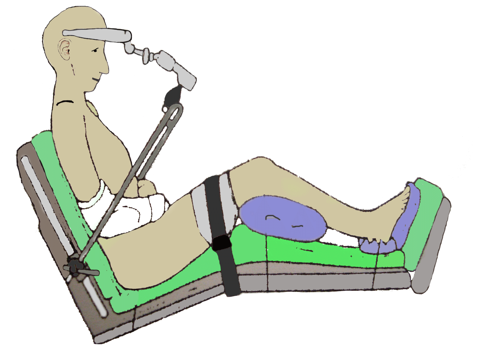 File:Supine position.gif - Wikimedia Commons