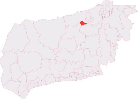 Horsham Tanbridge & Broadbridge Heath (electoral division)