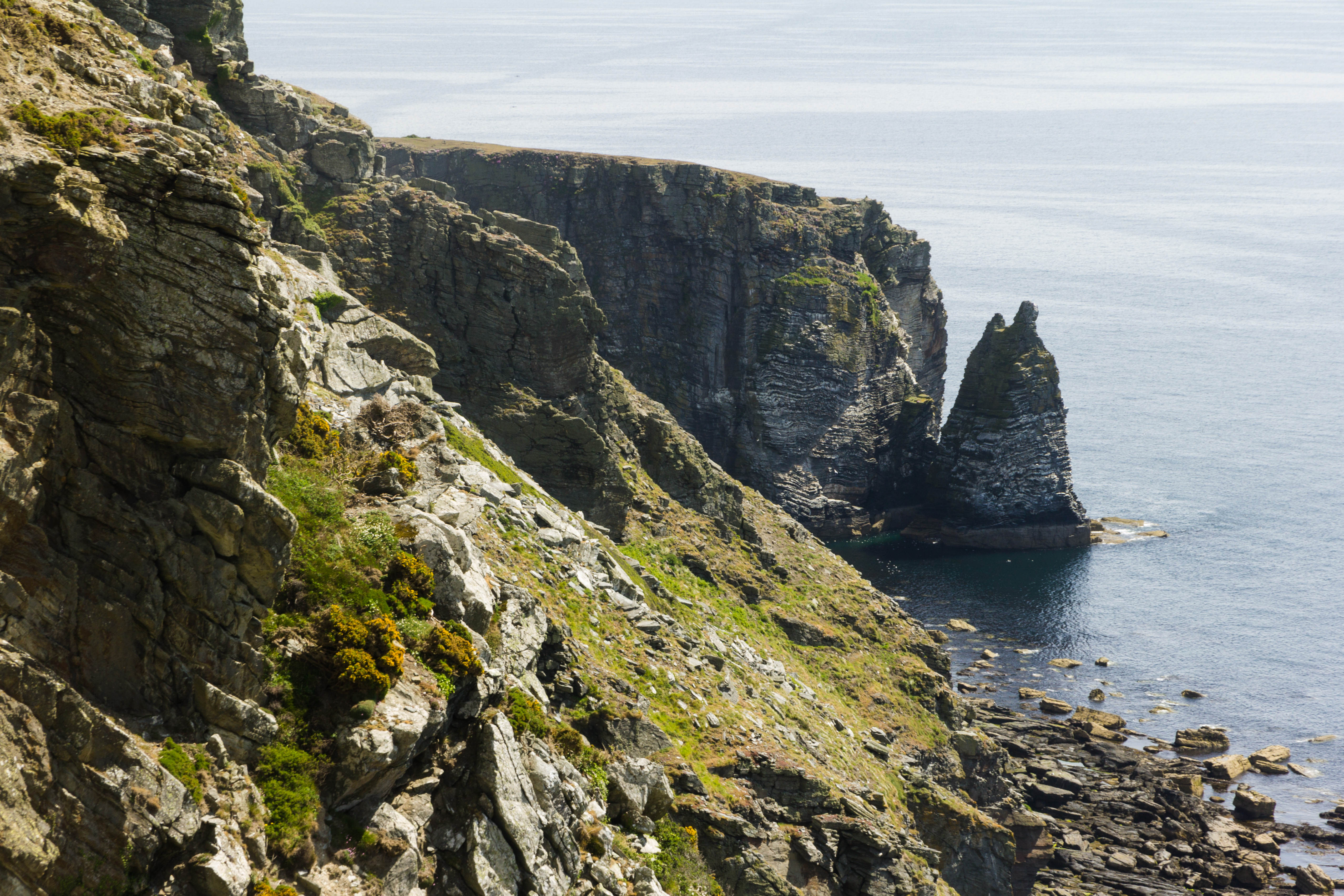 The isle in the irish sea. On the Isle of May фото.