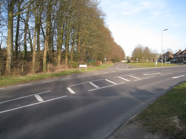 File:Looking into Hazelwood Drive - geograph.org.uk - 1761305.jpg