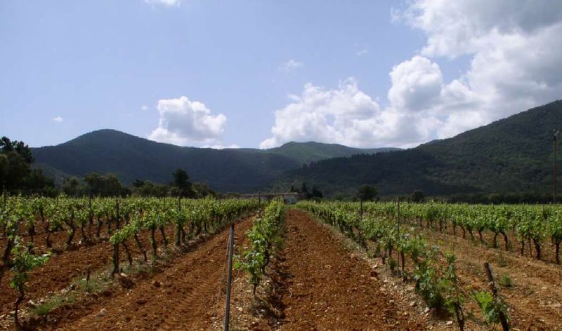 Réserve naturelle nationale de la plaine des Maures Massifesmaures3