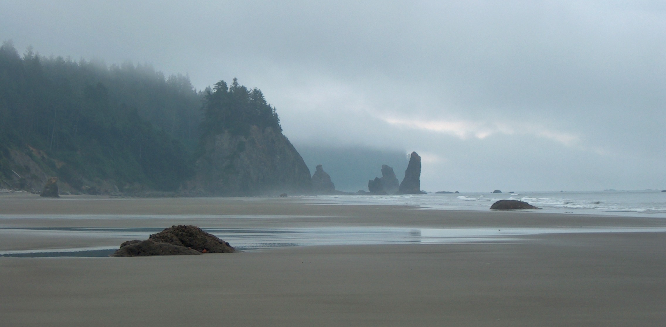 Beach in Fog lovers