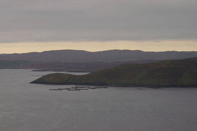 File Noness Head Collafirth Ness Geograph Org Uk Jpg Wikimedia Commons