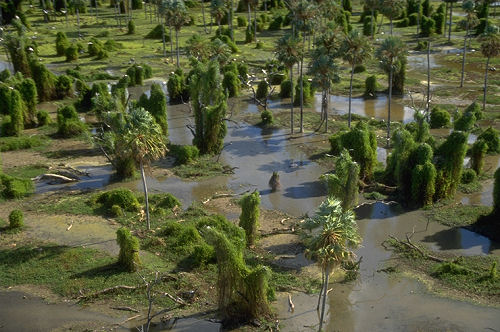 File:Parque Nacional Río Pilcomayo.jpg