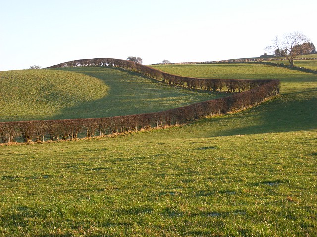 File:Pastures above Caldbeck - geograph.org.uk - 639704.jpg