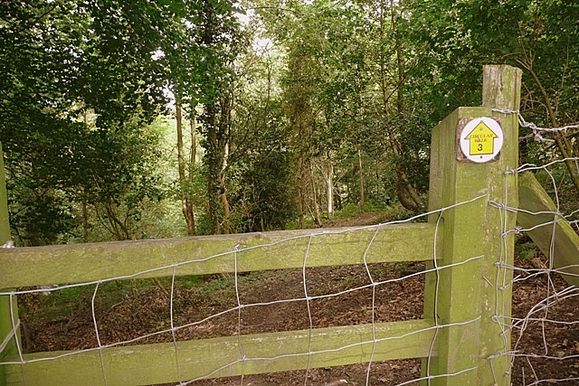 Path into Coed-duon - geograph.org.uk - 930113