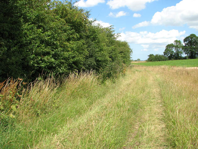 File:Path to Langley Green - geograph.org.uk - 1411229.jpg