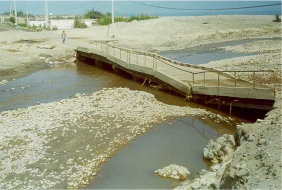 File:Puente dañado por el Fenómeno El Niño en la Costa Peruana.png