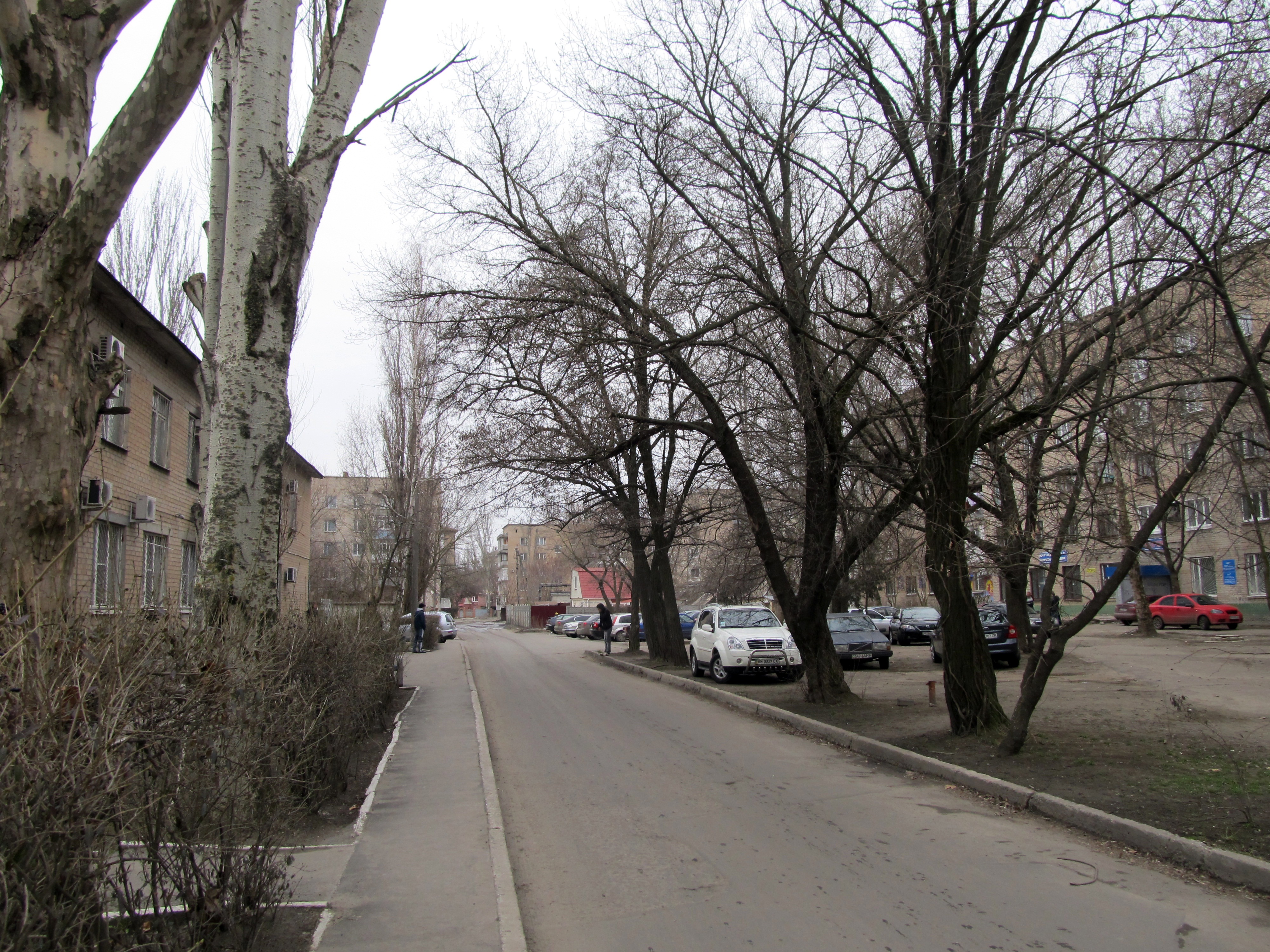 Schmidta Ln., Melitopol, Zaporizhia Oblast, Ukraine 07.JPG